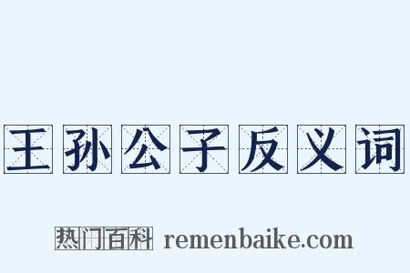 王孙公子反义词是什么意思的图片